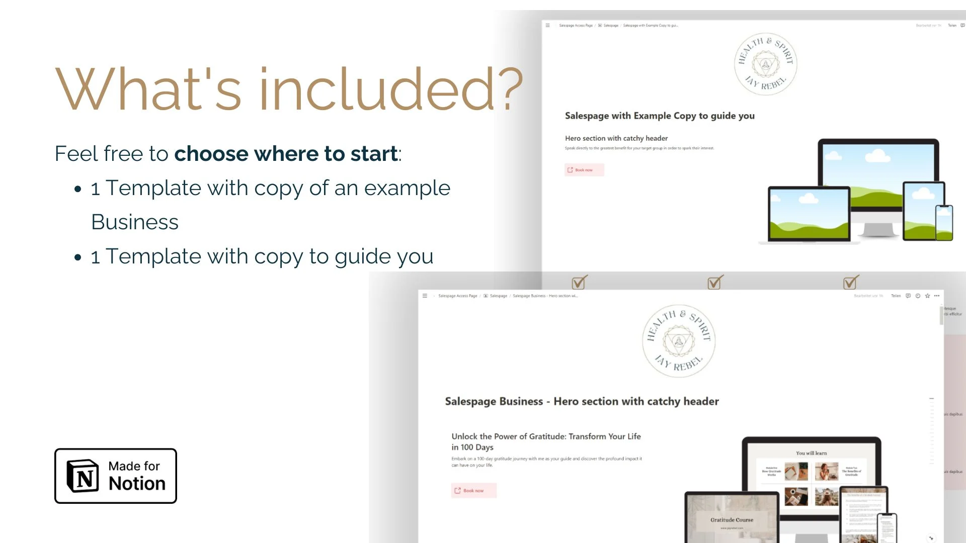 Notion Sales Page Template - image 3