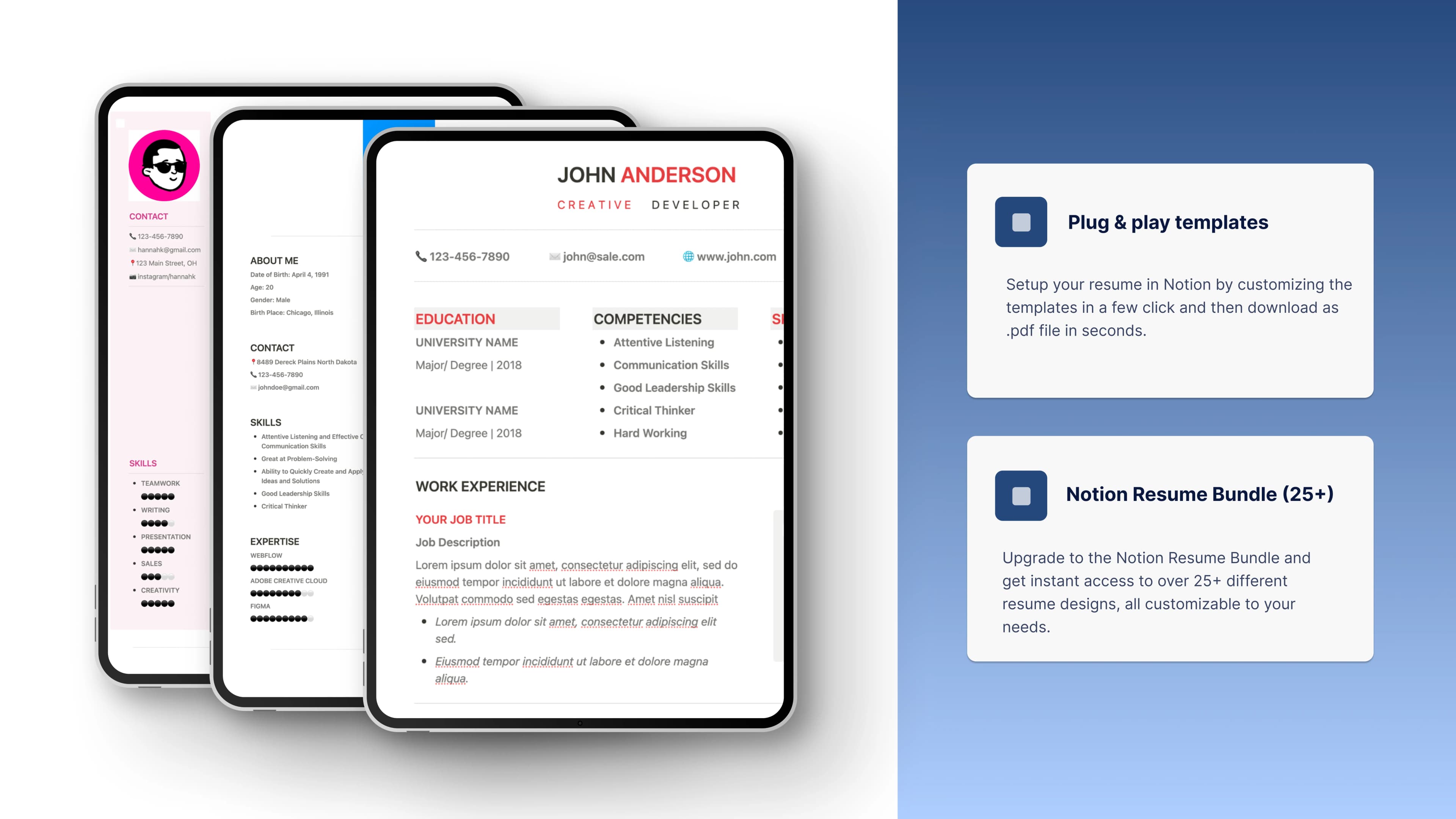 Notion Resume Template Pack (x3) - image 3