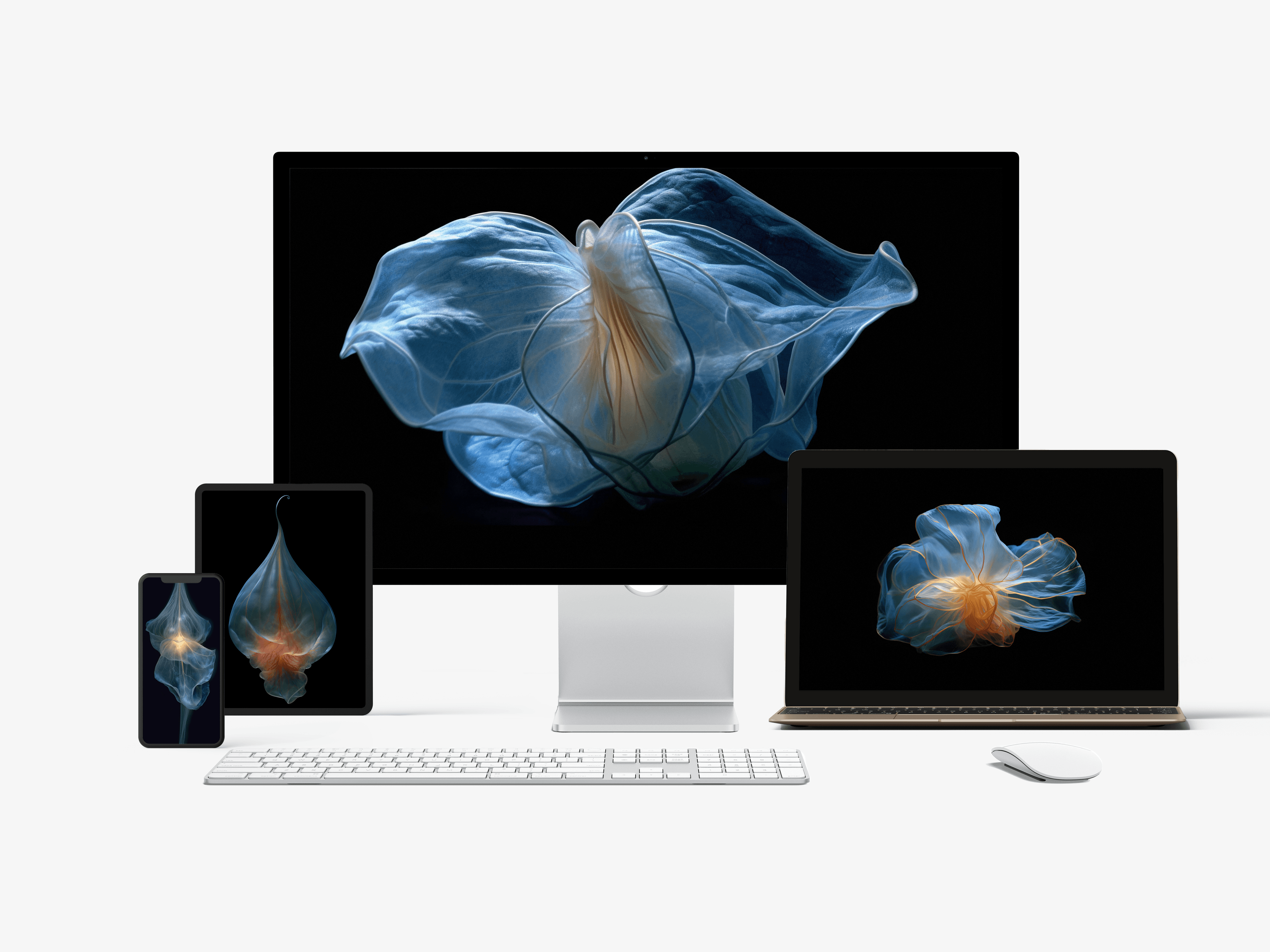 Translucent Phantasm: Mystical Wallpapers & Screensavers for Desktop, Mobile, and Smart TVs - image 1