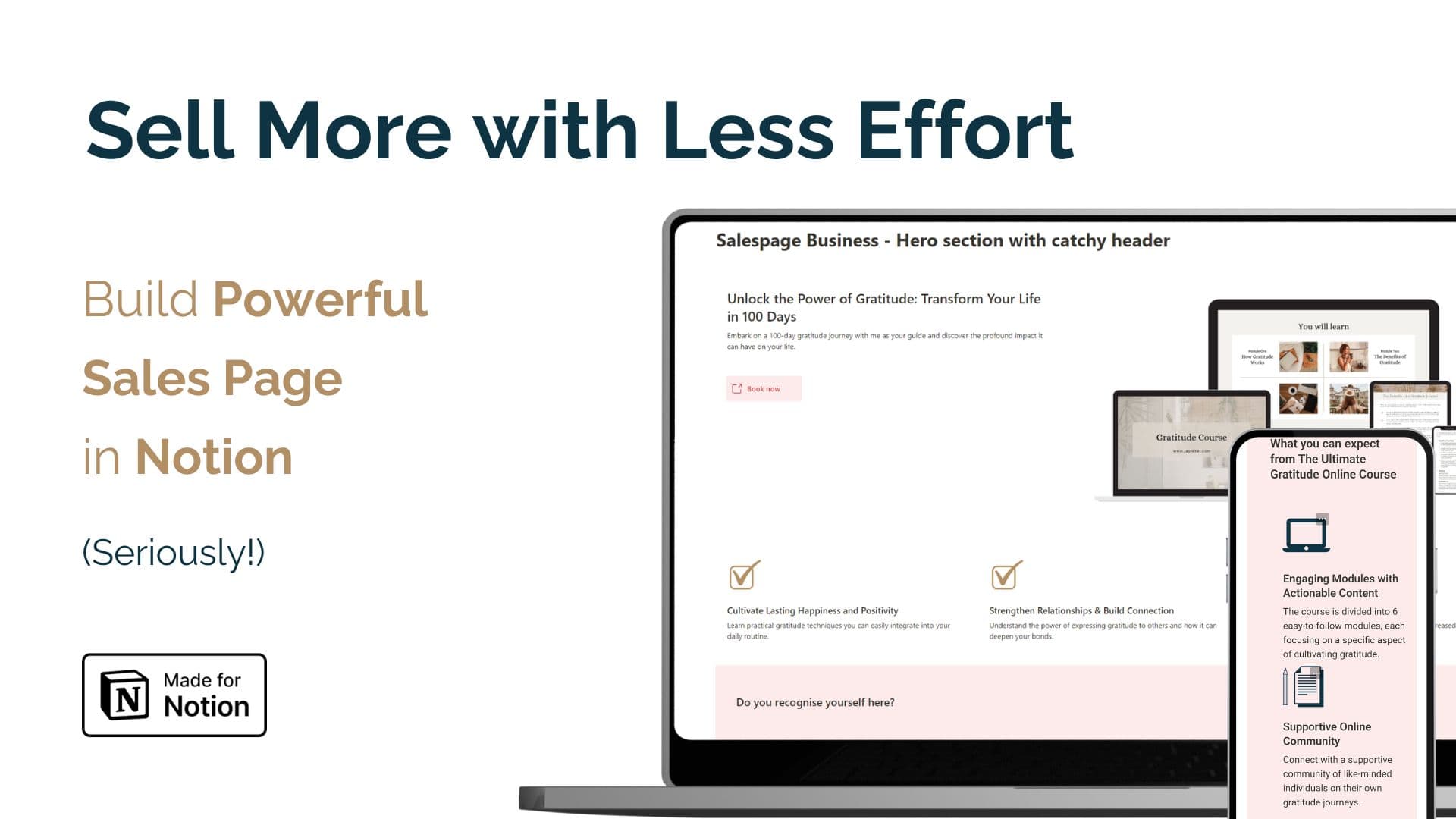 Notion Sales Page Template - image 1