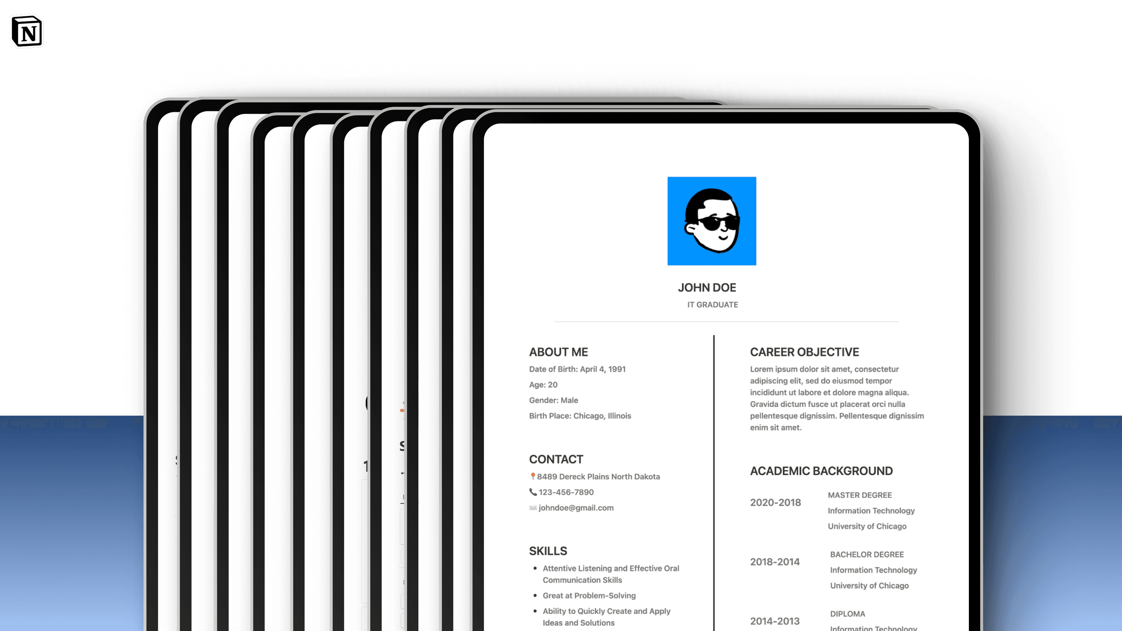 Notion Resume Template Bundle (x25)
