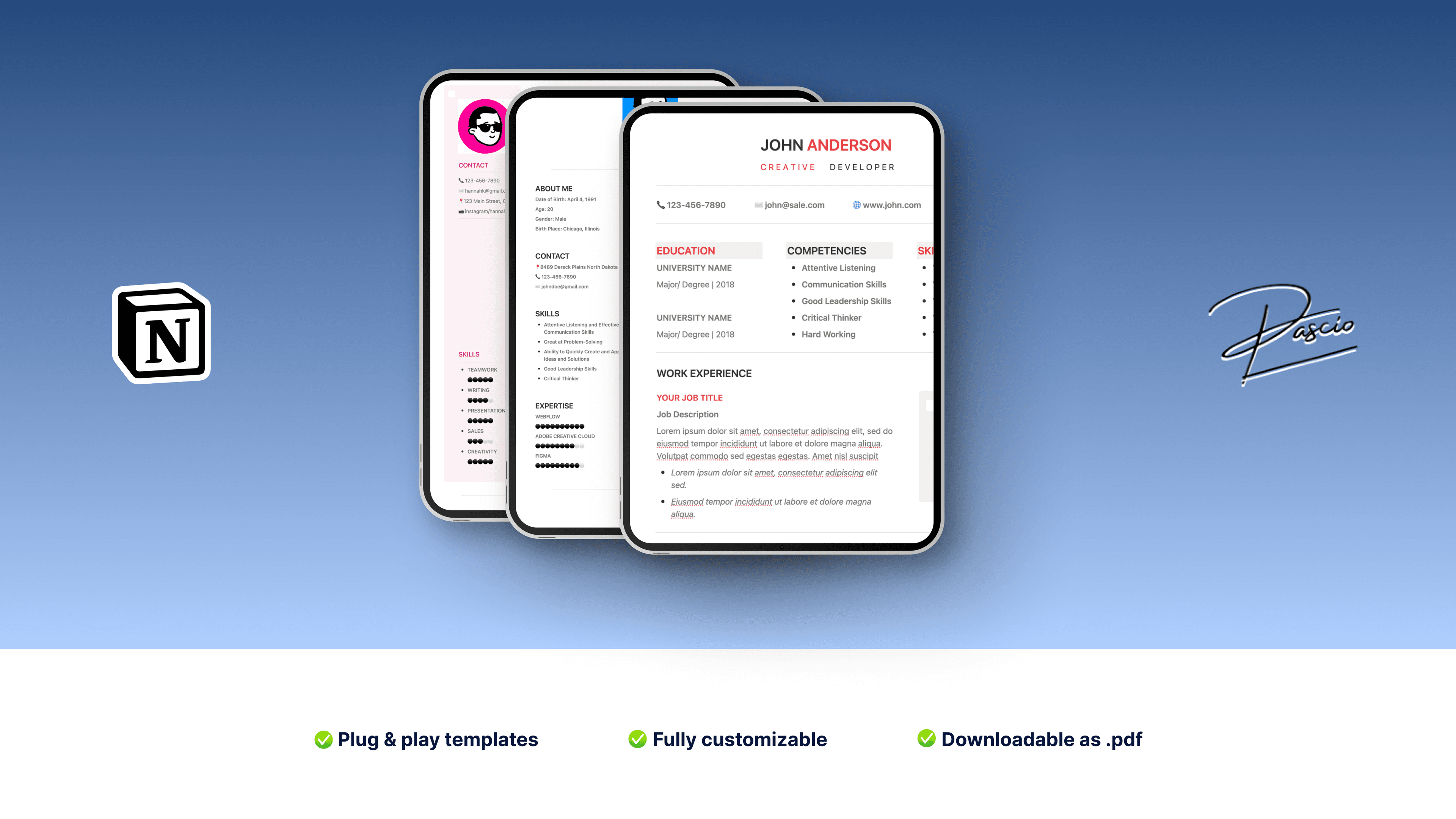 Notion Resume Template Pack (x3) - image 2