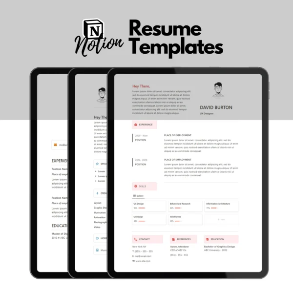 Notion Resume Templates (x3)