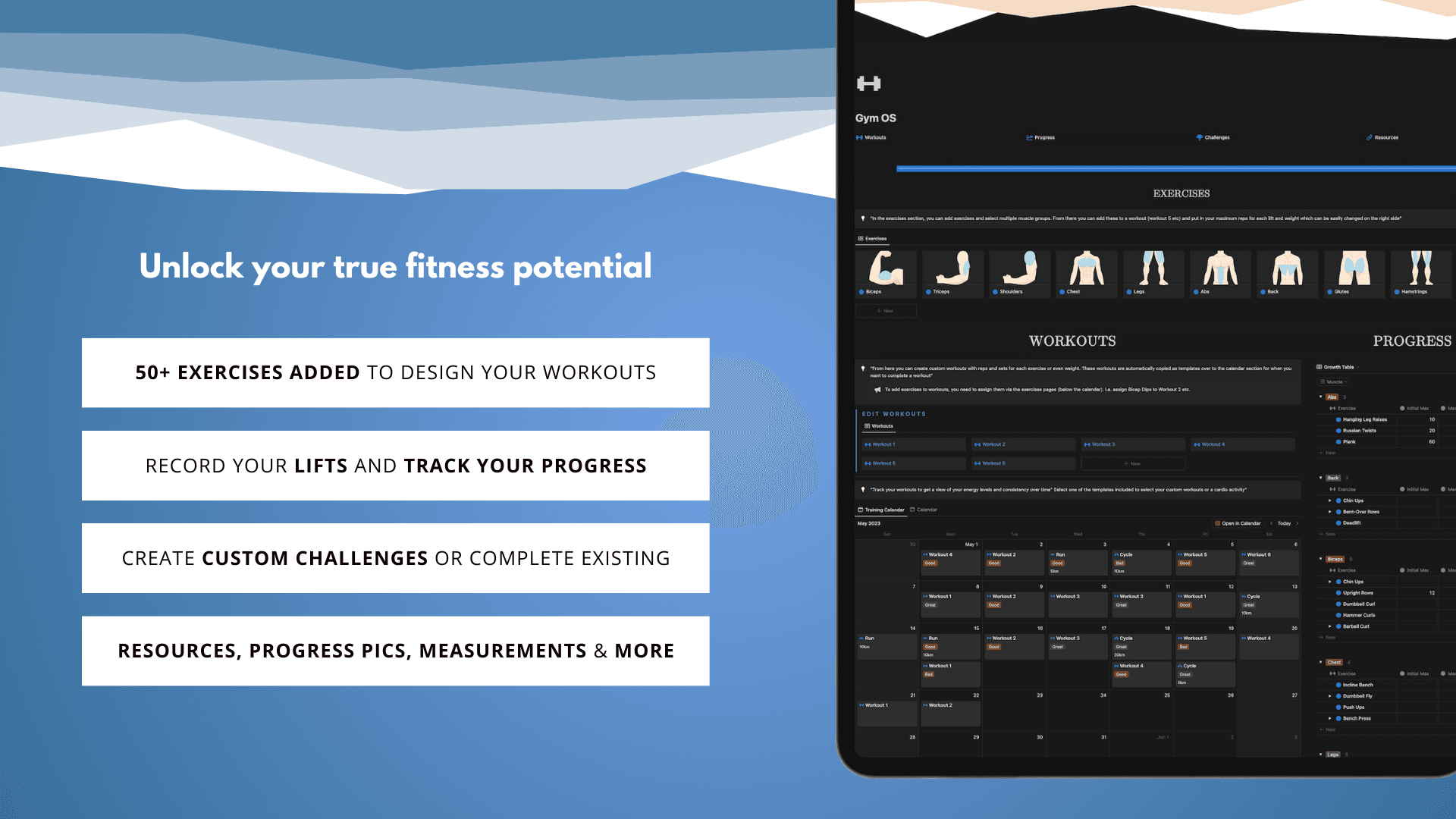 Gym & Muscle Tracker - image 3