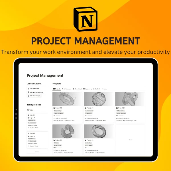 Notion Project Management