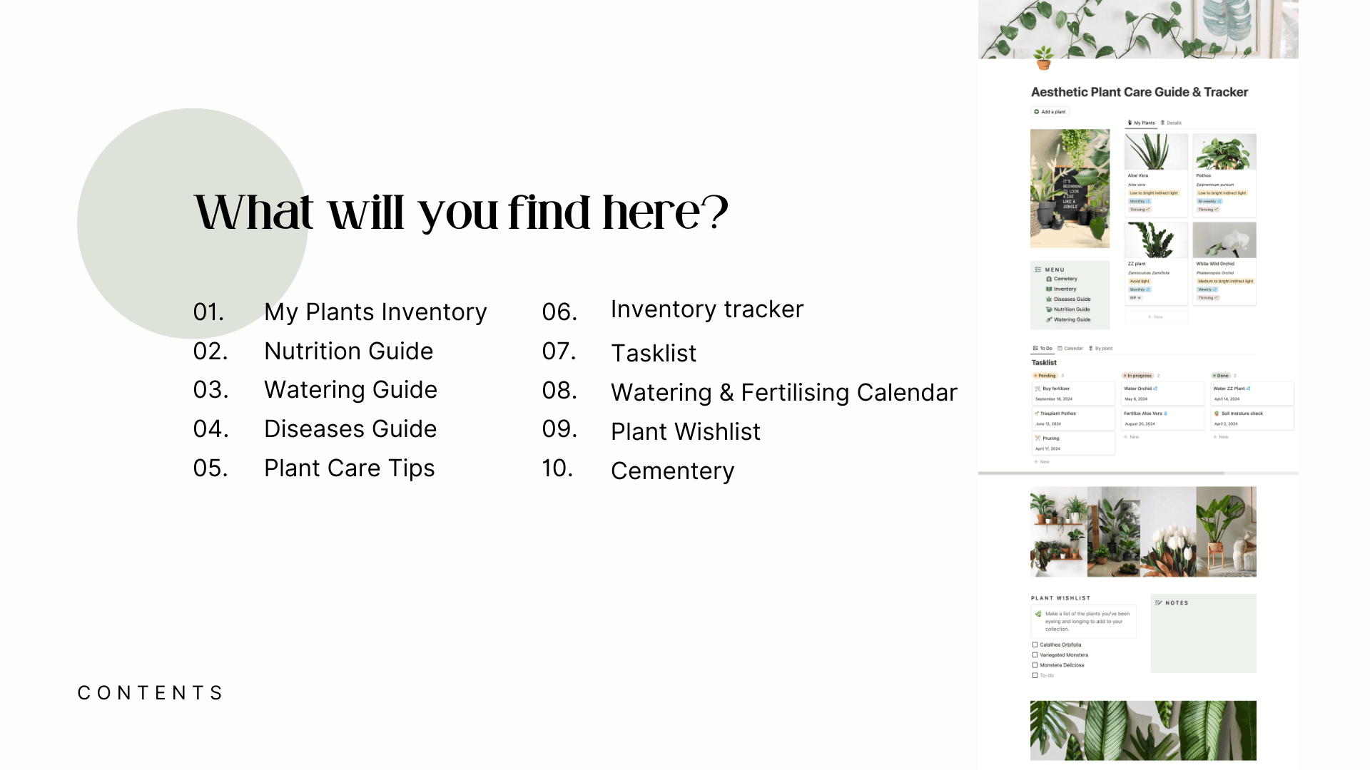 Aesthetic Plant Care Guide & Tracker 🪴 - image 2