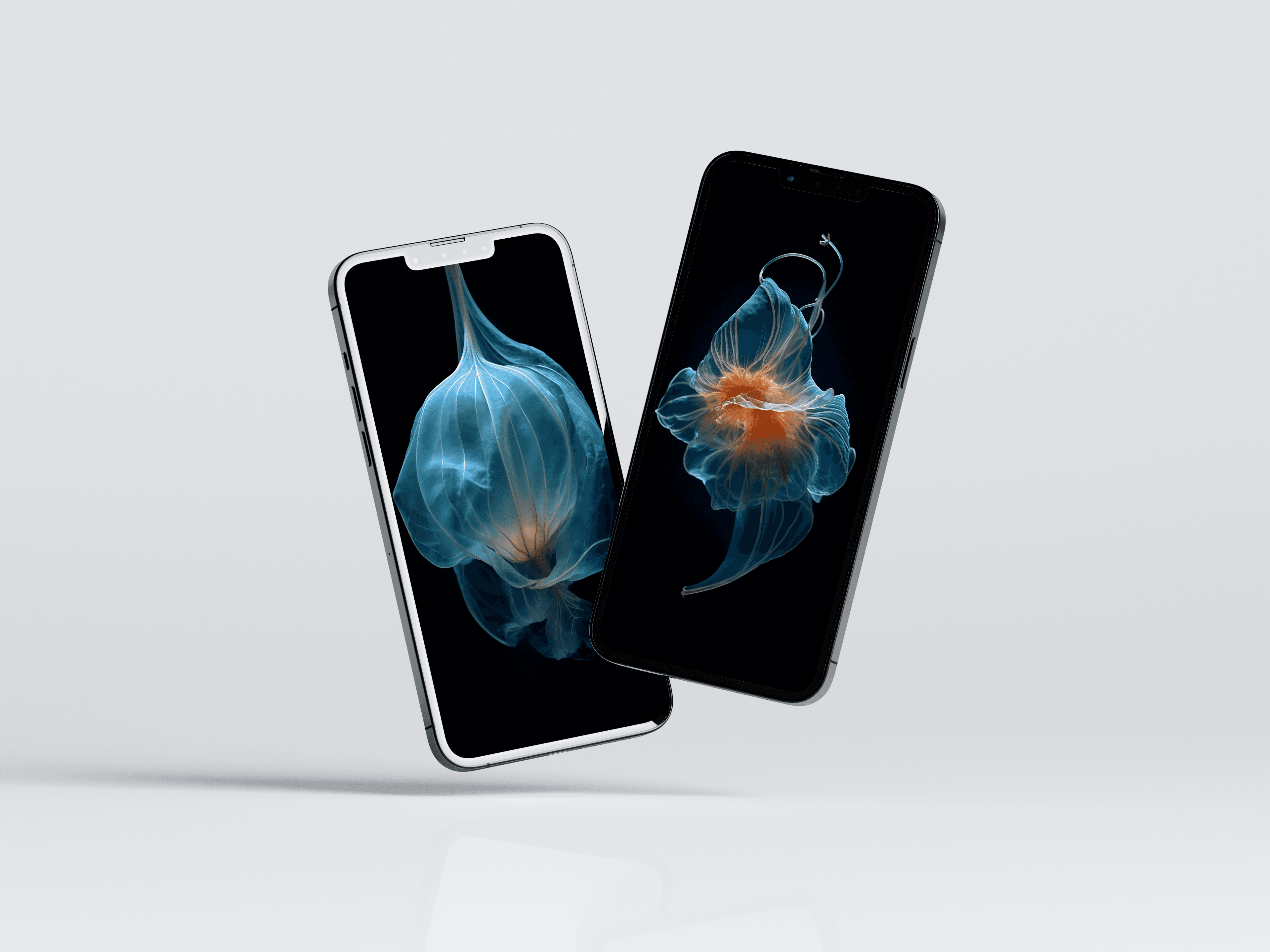 Translucent Phantasm: Mystical Wallpapers & Screensavers for Desktop, Mobile, and Smart TVs - image 3