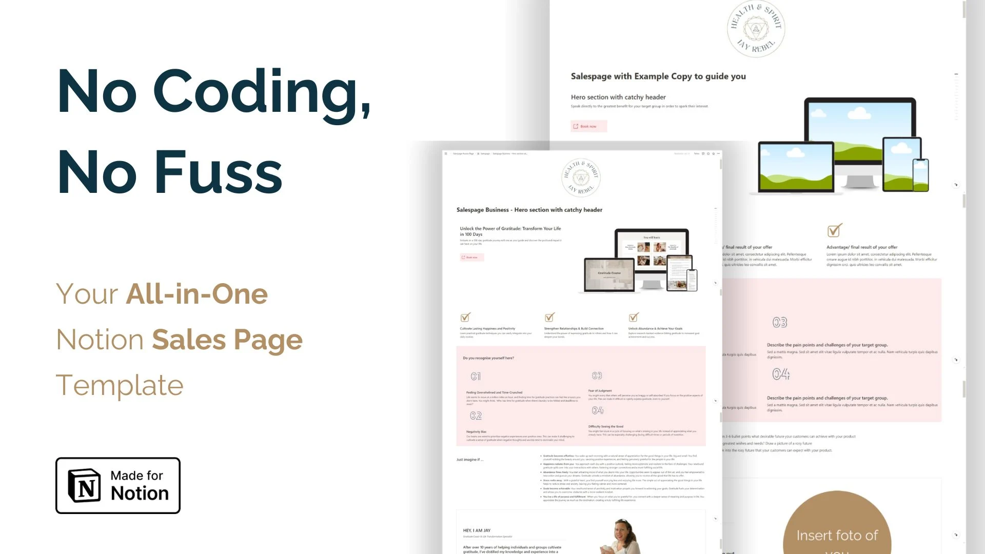 Notion Sales Page Template - image 2